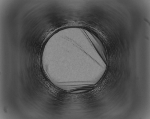 X0000097491220200803201523