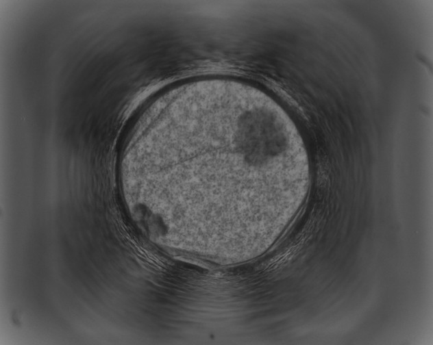 X0000097491222200803201523