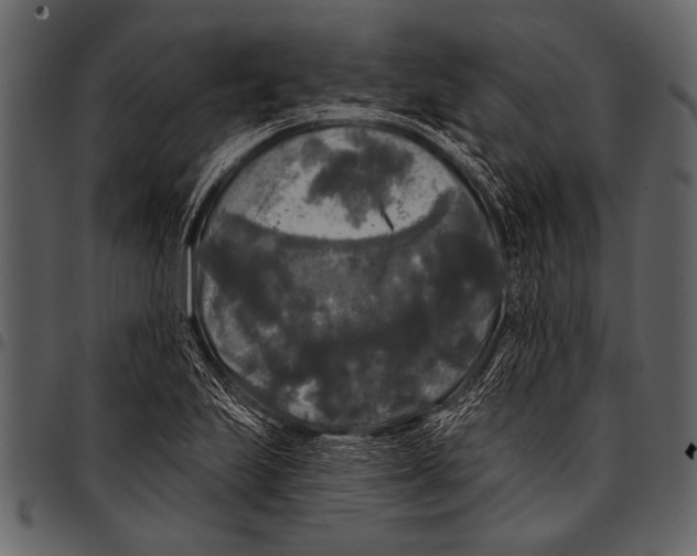 X0000097491223200803201523