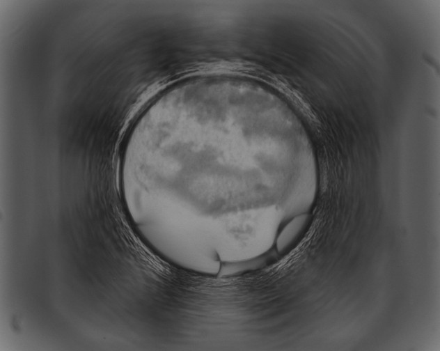 X0000097491224200803201523