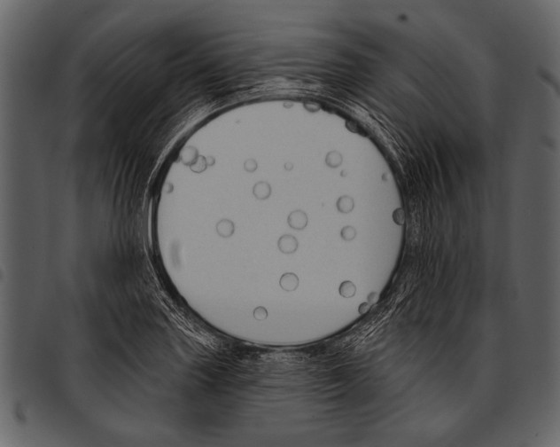 X0000097491227200803201524