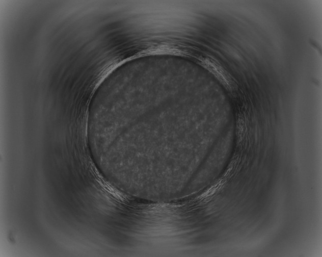 X0000097491228200803201524