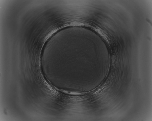 X0000097491229200803201524