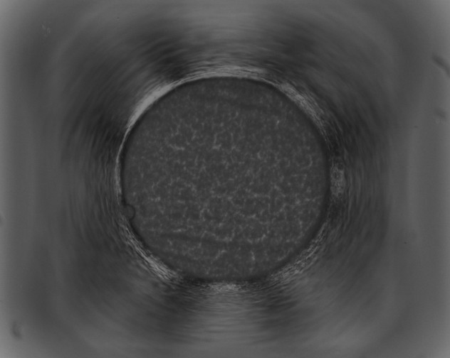 X0000097491230200803201524