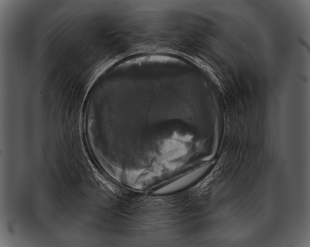 X0000097491231200803201524