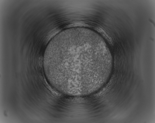 X0000097491233200803201524