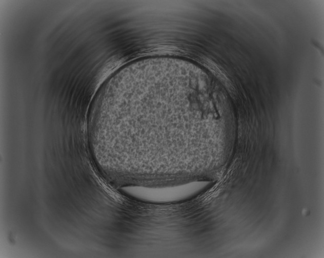 X0000097491234200803201524