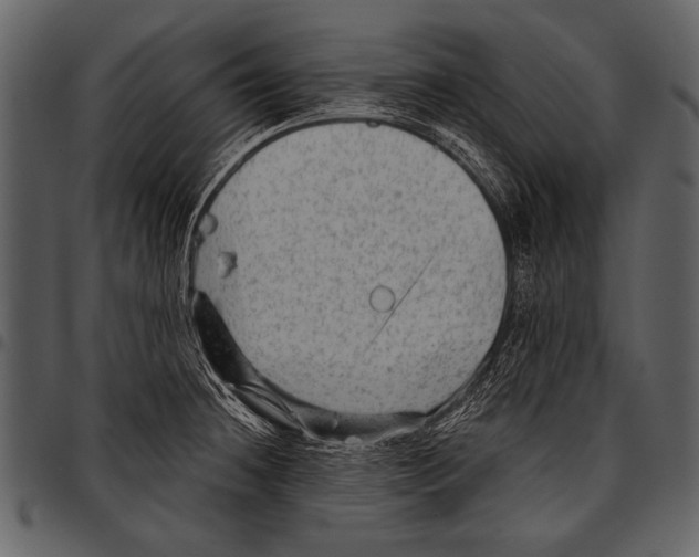 X0000097491236200803201524