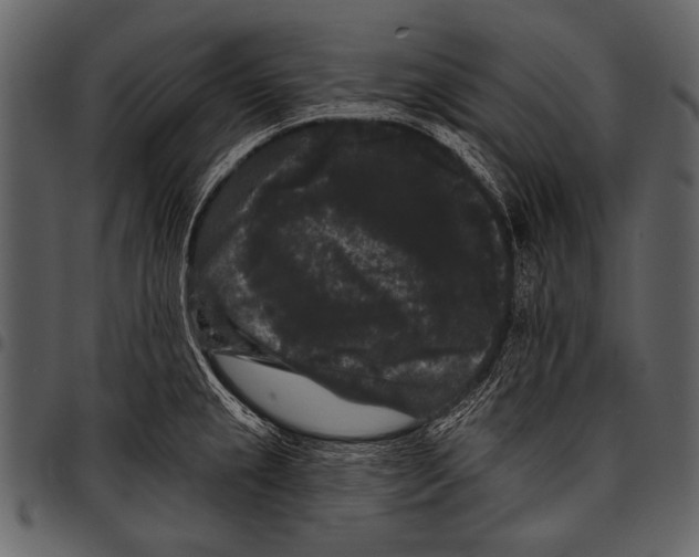 X0000097491237200803201524