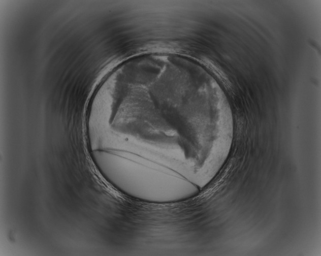 X0000097491240200803201524