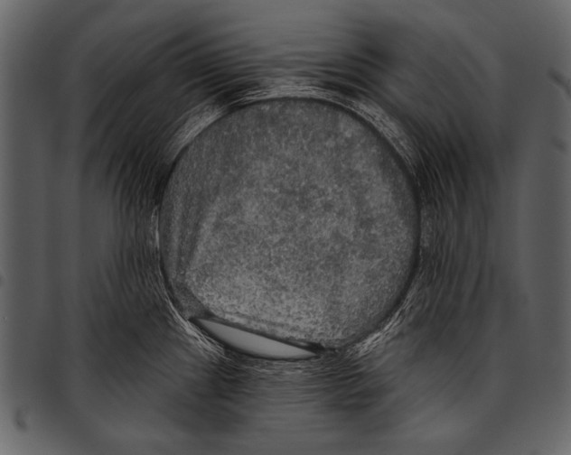 X0000097491241200803201524