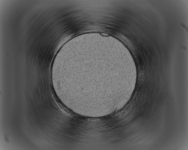 X0000097491242200803201524