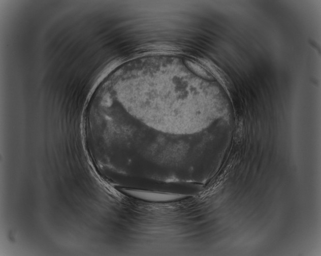 X0000097491243200803201524