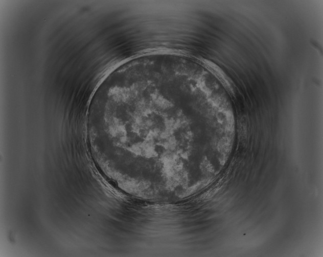 X0000097491244200803201524