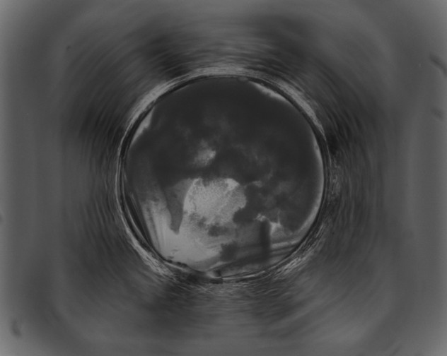 X0000097491245200803201524