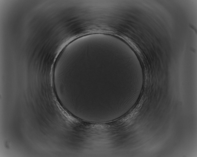 X0000097491246200803201524