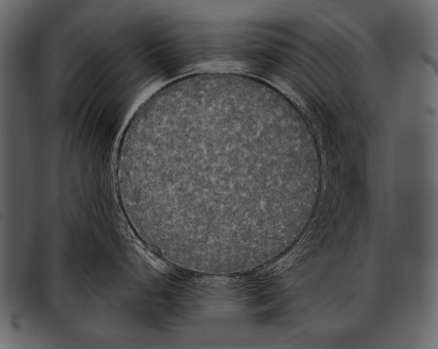 X0000097491248200803201524