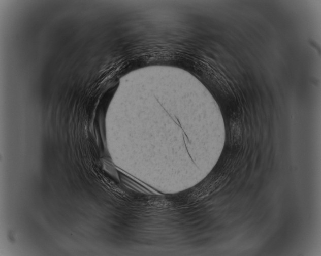 X0000097491250200803201523