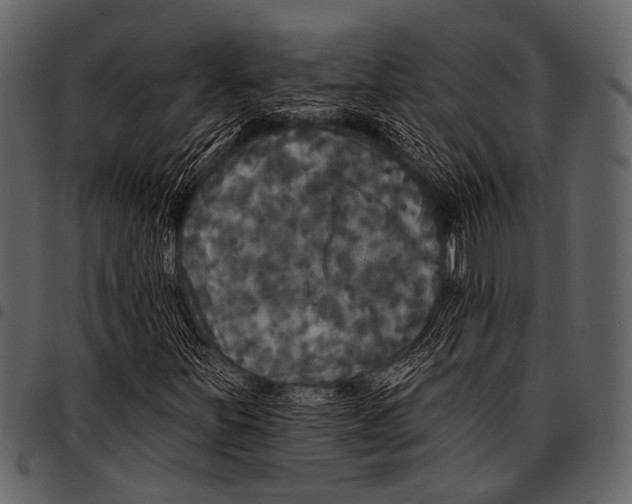 X0000097491251200803201523