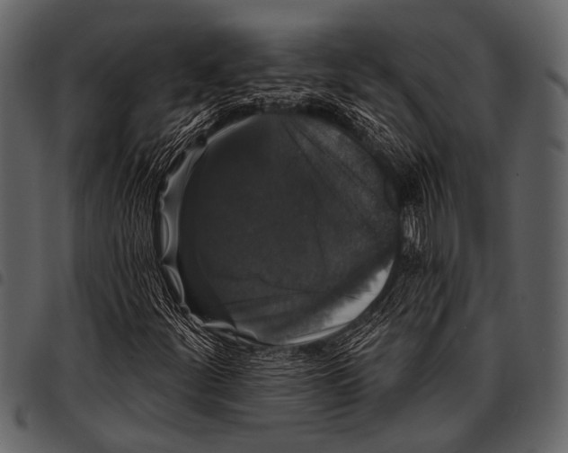 X0000097491252200803201523