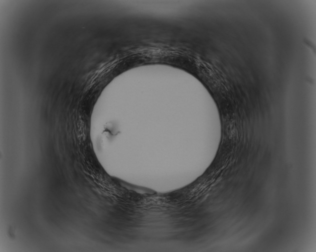 X0000097491253200803201523