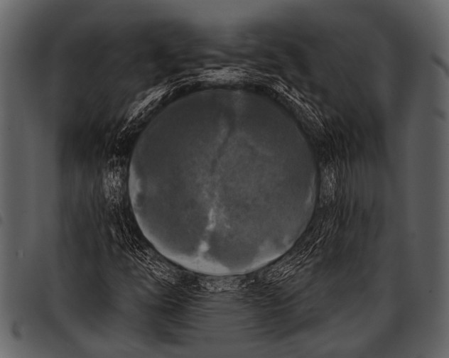 X0000097491254200803201523