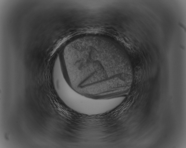 X0000097491256200803201523