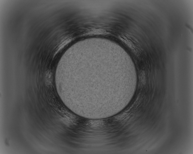 X0000097491258200803201523