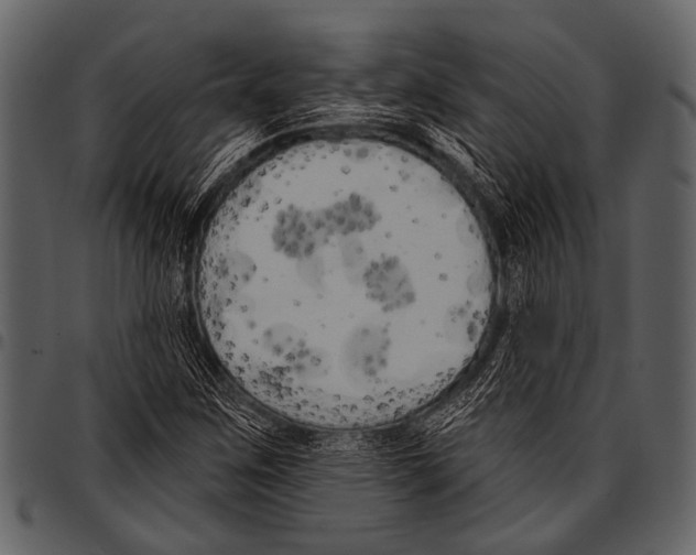 X0000097491259200803201523