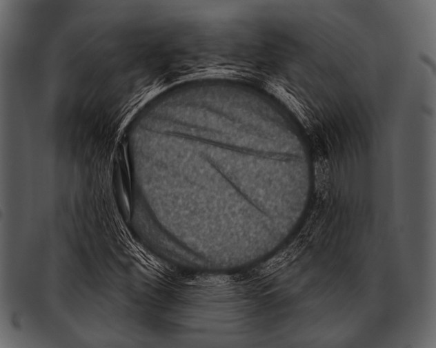 X0000097491260200803201523