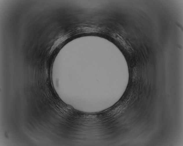 X0000097491261200803201523