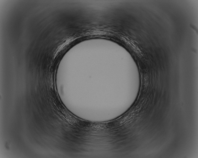 X0000097491262200803201523