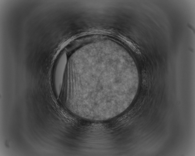 X0000097491264200803201523