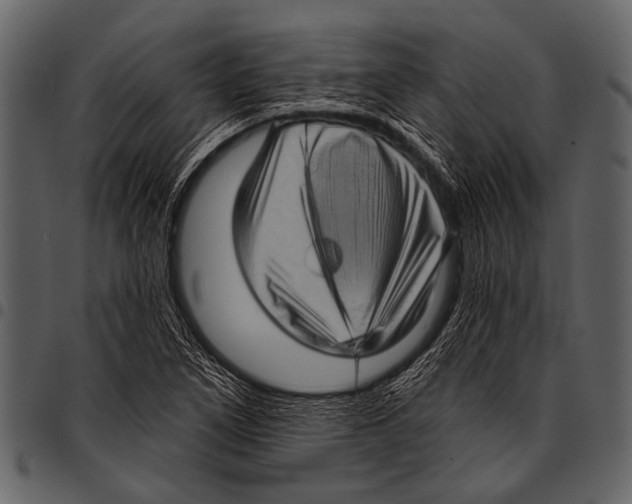 X0000097491266200803201523