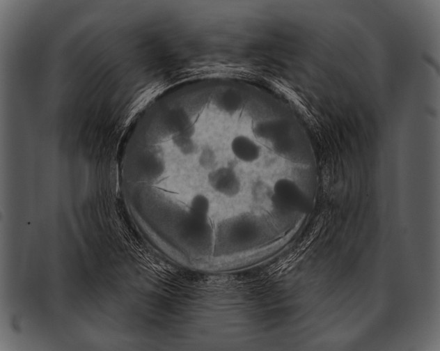 X0000097491267200803201523