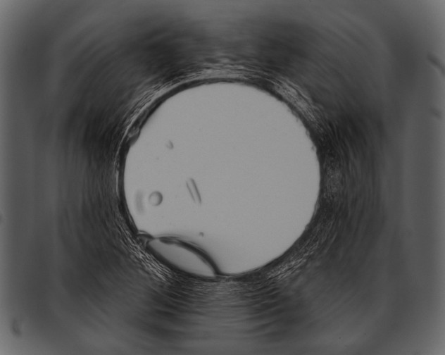 X0000097491268200803201523