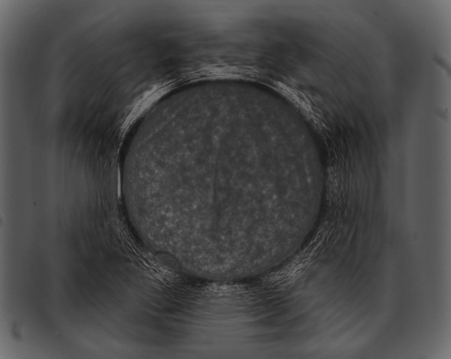 X0000097491269200803201523