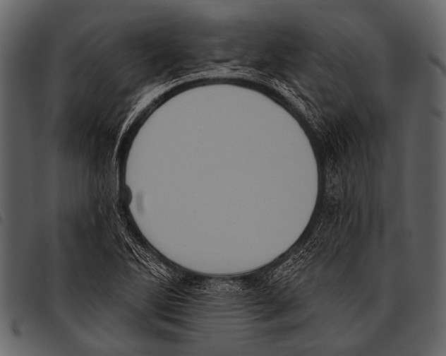 X0000097491270200803201523