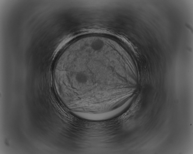 X0000097491271200803201523