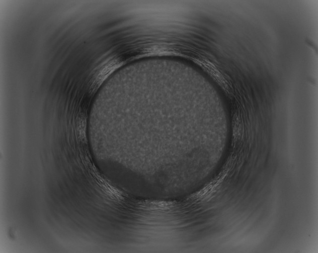 X0000097491273200803201523