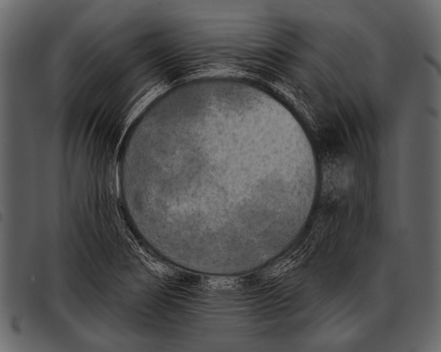 X0000097491274200803201523