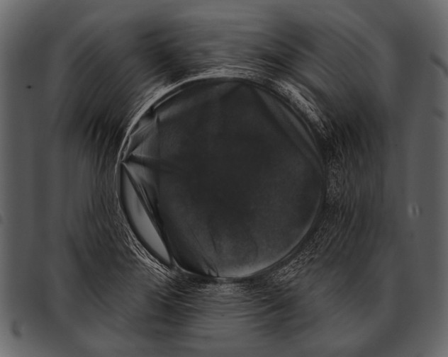 X0000097491276200803201523