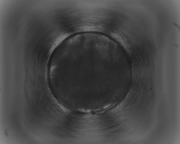 X0000097491277200803201523