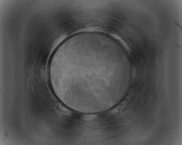 X0000097491278200803201523