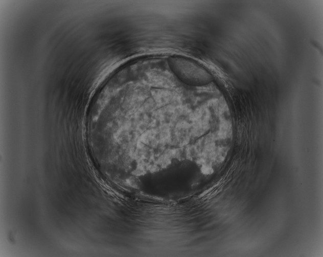 X0000097491279200803201523