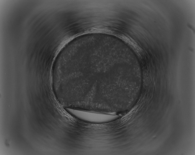 X0000097491280200803201523