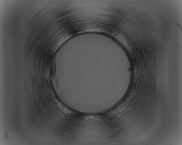 X0000097491281200803201523