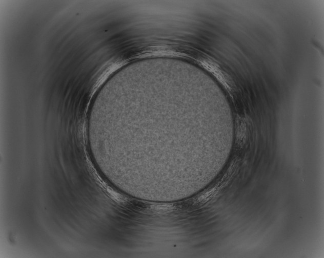 X0000097491282200803201523