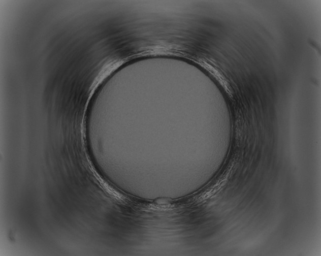 X0000097491285200803201523