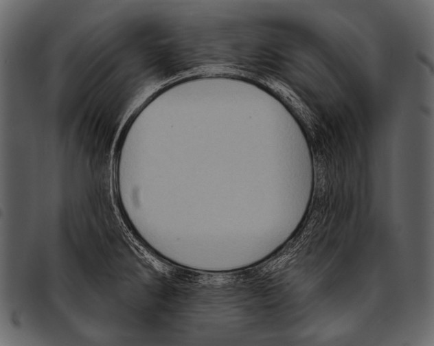 X0000097491286200803201523